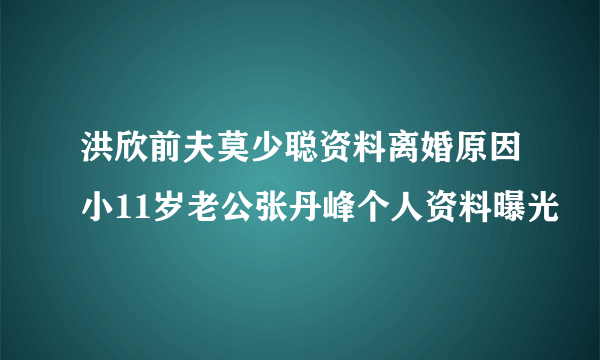 洪欣前夫莫少聪资料离婚原因小11岁老公张丹峰个人资料曝光