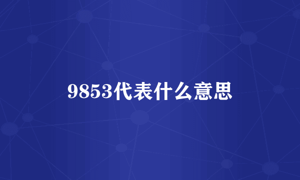 9853代表什么意思