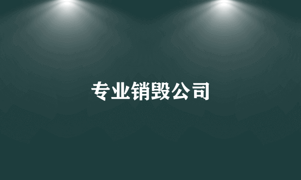 专业销毁公司