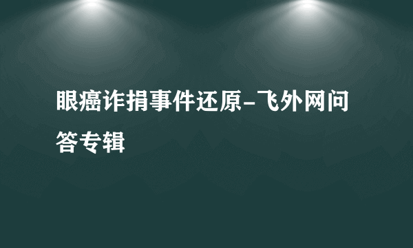 眼癌诈捐事件还原-飞外网问答专辑