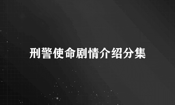 刑警使命剧情介绍分集