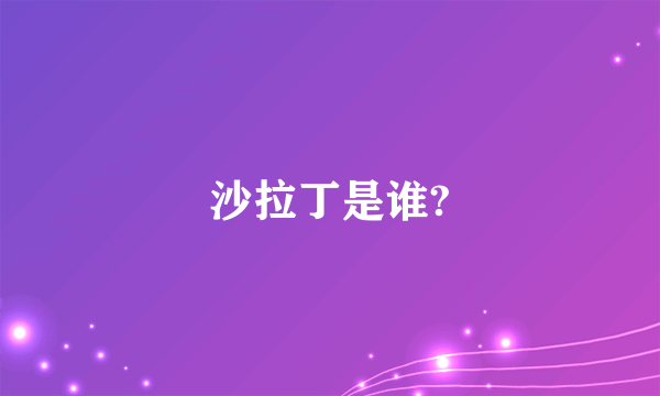 沙拉丁是谁?