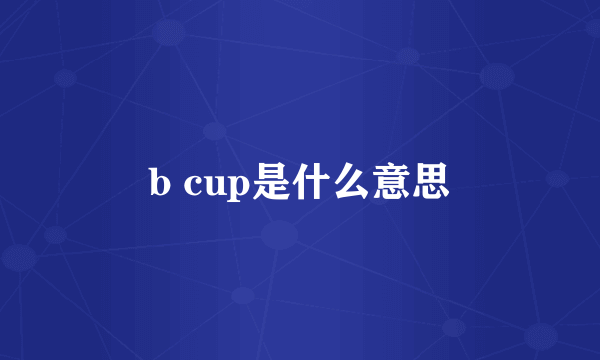 b cup是什么意思