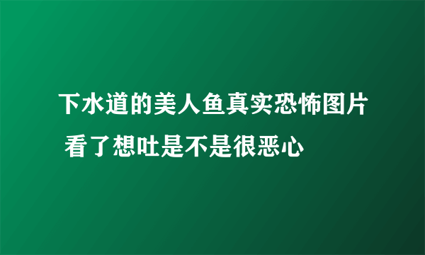 下水道的美人鱼真实恐怖图片 看了想吐是不是很恶心