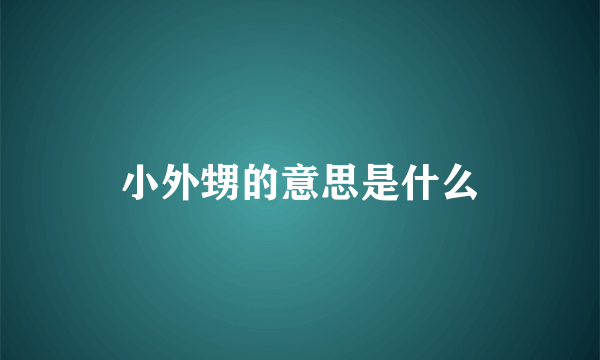 小外甥的意思是什么