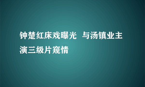 钟楚红床戏曝光  与汤镇业主演三级片窥情