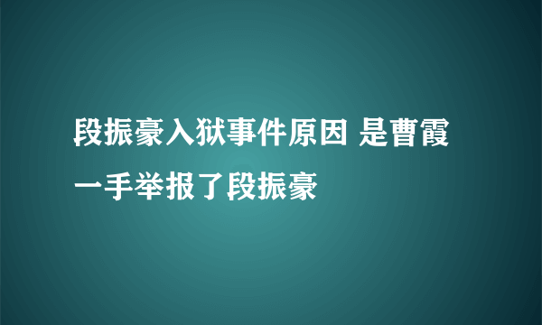 段振豪入狱事件原因 是曹霞一手举报了段振豪