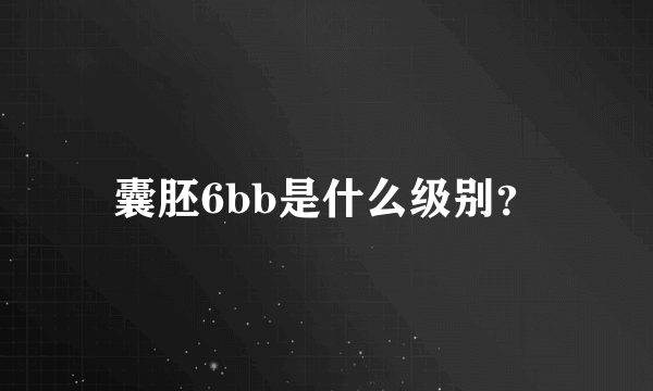 囊胚6bb是什么级别？