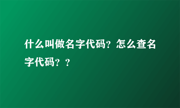 什么叫做名字代码？怎么查名字代码？？