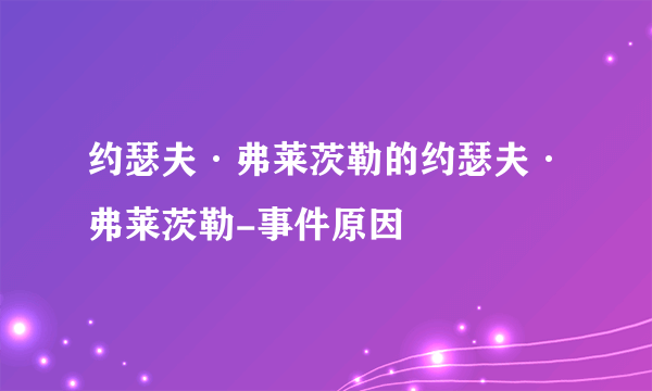 约瑟夫·弗莱茨勒的约瑟夫·弗莱茨勒-事件原因