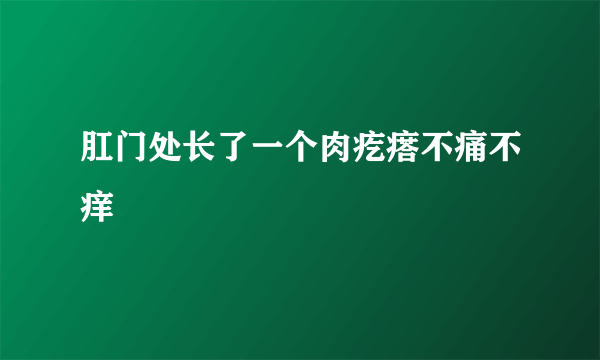 肛门处长了一个肉疙瘩不痛不痒