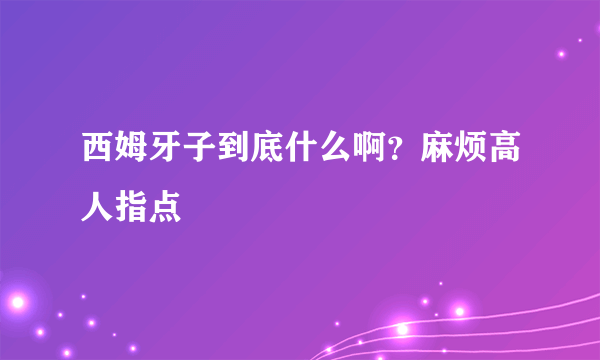 西姆牙子到底什么啊？麻烦高人指点