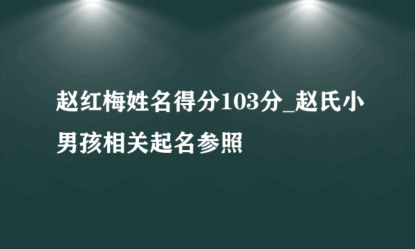 赵红梅姓名得分103分_赵氏小男孩相关起名参照