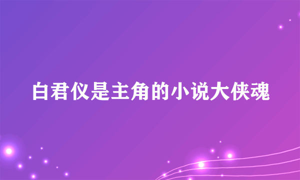 白君仪是主角的小说大侠魂