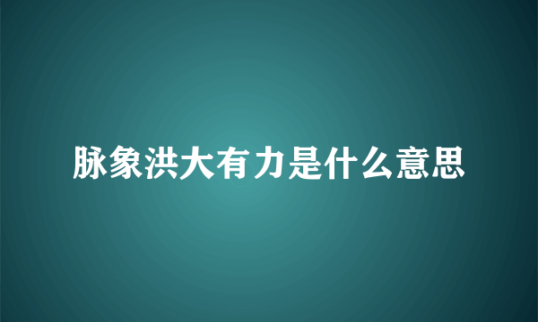 脉象洪大有力是什么意思