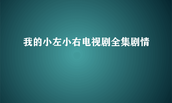 我的小左小右电视剧全集剧情