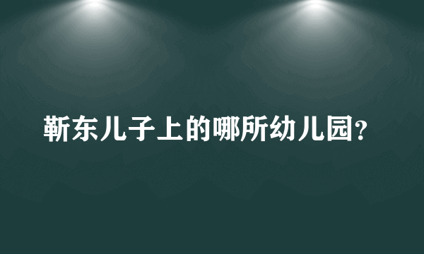 靳东儿子上的哪所幼儿园？