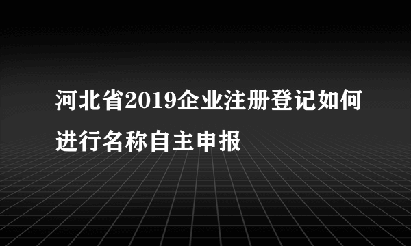 河北省2019企业注册登记如何进行名称自主申报