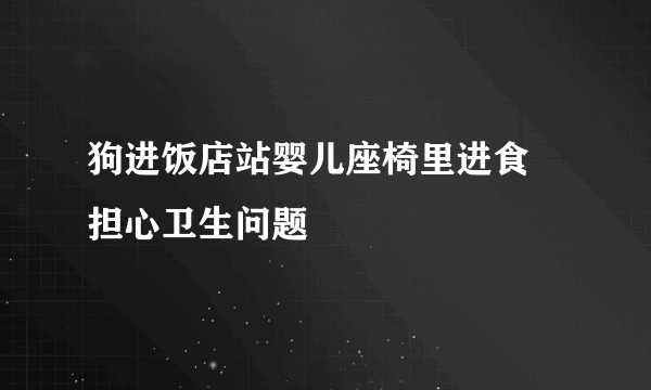 狗进饭店站婴儿座椅里进食 担心卫生问题