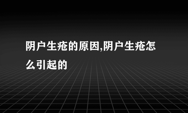 阴户生疮的原因,阴户生疮怎么引起的