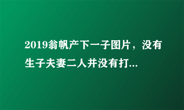 2019翁帆产下一子图片，没有生子夫妻二人并没有打算要孩子—飞外