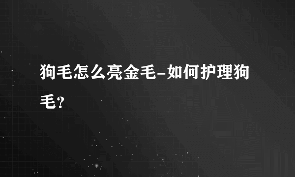 狗毛怎么亮金毛-如何护理狗毛？