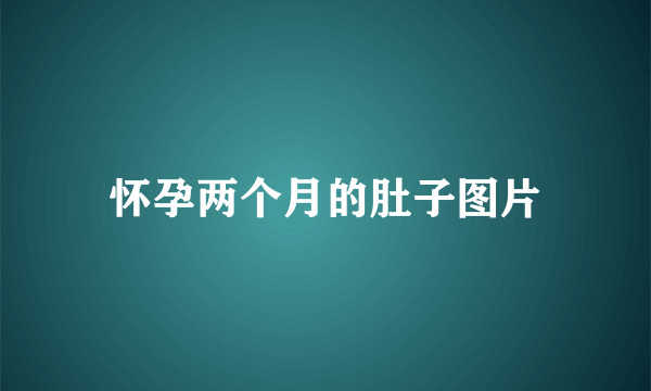 怀孕两个月的肚子图片