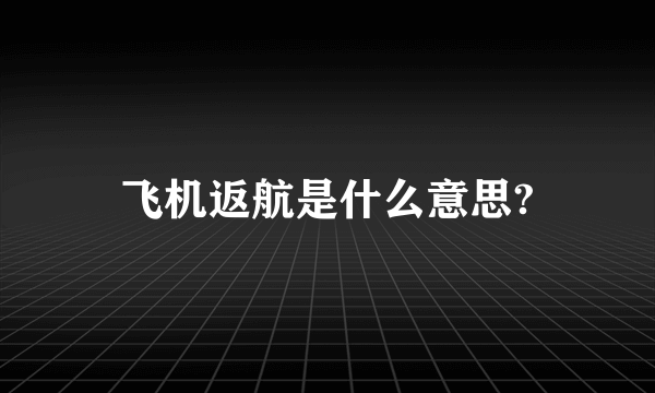 飞机返航是什么意思?