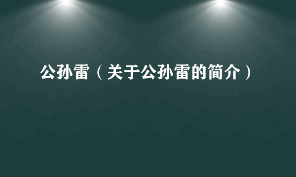 公孙雷（关于公孙雷的简介）