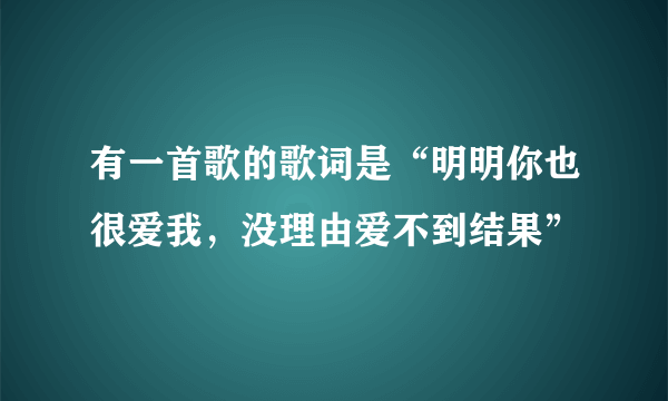 有一首歌的歌词是“明明你也很爱我，没理由爱不到结果”