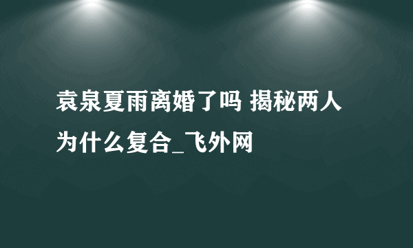 袁泉夏雨离婚了吗 揭秘两人为什么复合_飞外网