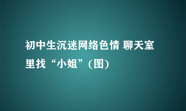 初中生沉迷网络色情 聊天室里找“小姐”(图)