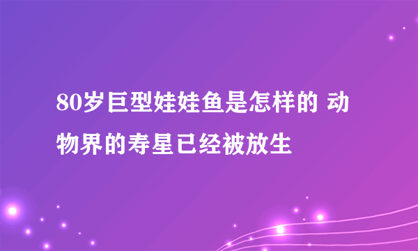 80岁巨型娃娃鱼是怎样的 动物界的寿星已经被放生