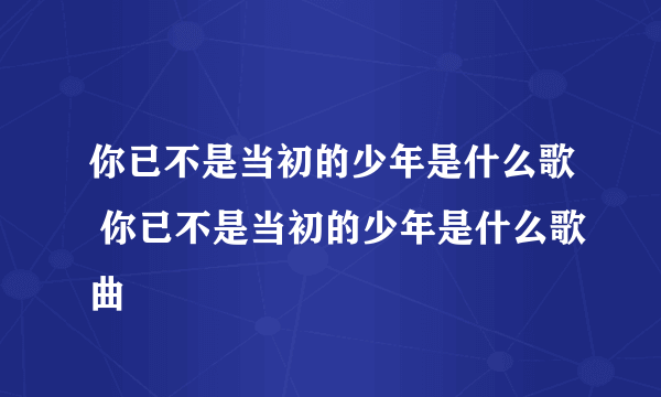 你已不是当初的少年是什么歌 你已不是当初的少年是什么歌曲