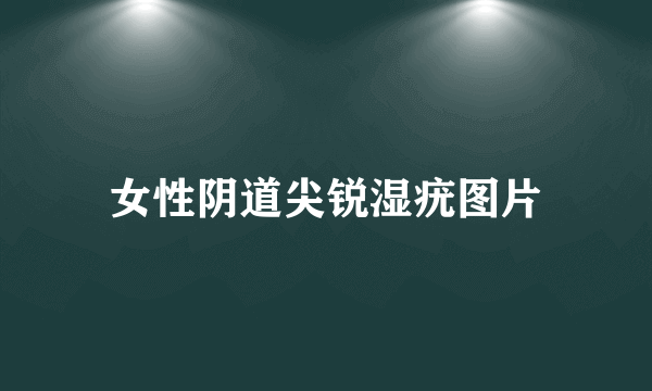 女性阴道尖锐湿疣图片