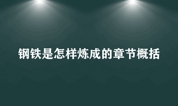 钢铁是怎样炼成的章节概括