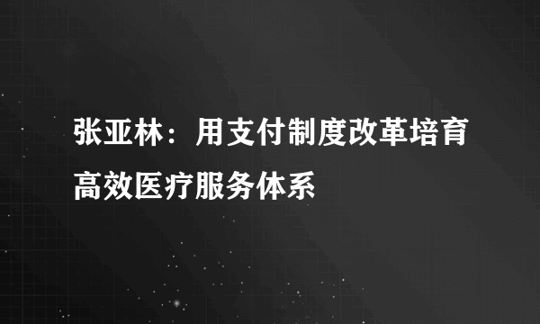 张亚林：用支付制度改革培育高效医疗服务体系