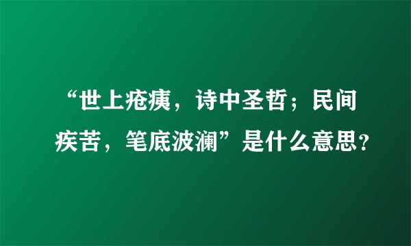 “世上疮痍，诗中圣哲；民间疾苦，笔底波澜”是什么意思？