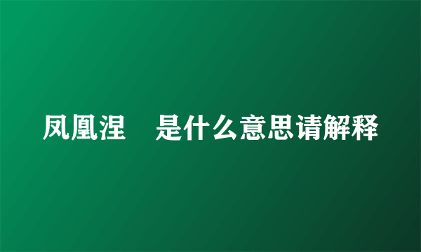 凤凰涅槃是什么意思请解释