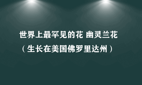 世界上最罕见的花 幽灵兰花（生长在美国佛罗里达州）