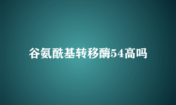 谷氨酰基转移酶54高吗