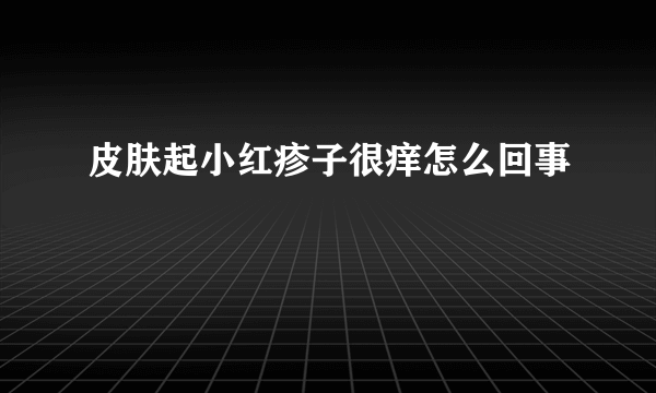 皮肤起小红疹子很痒怎么回事