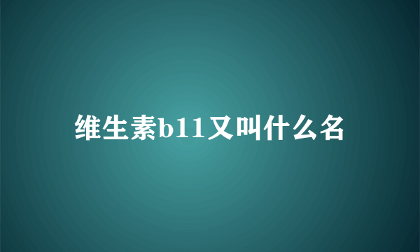 维生素b11又叫什么名