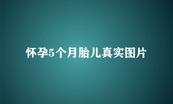 怀孕5个月胎儿真实图片