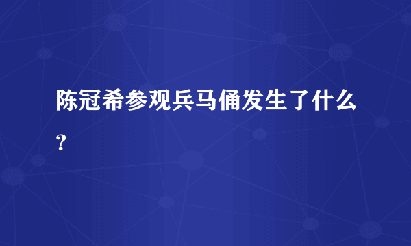 陈冠希参观兵马俑发生了什么？