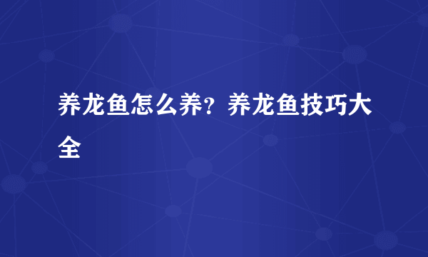 养龙鱼怎么养？养龙鱼技巧大全