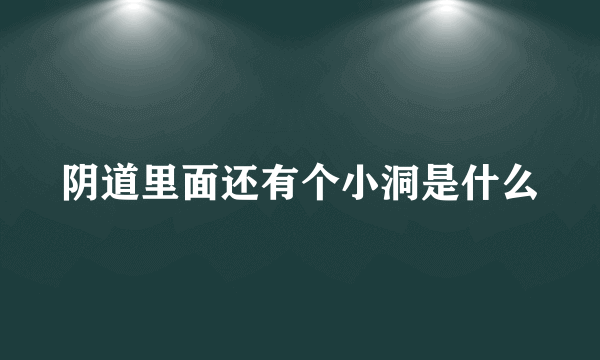 阴道里面还有个小洞是什么