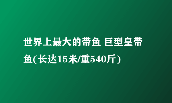 世界上最大的带鱼 巨型皇带鱼(长达15米/重540斤)