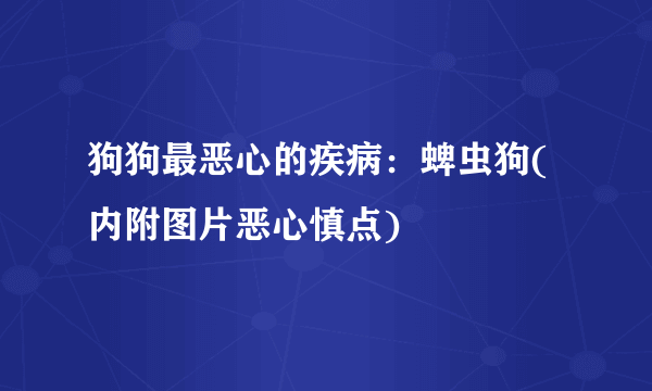 狗狗最恶心的疾病：蜱虫狗(内附图片恶心慎点)