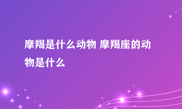 摩羯是什么动物 摩羯座的动物是什么